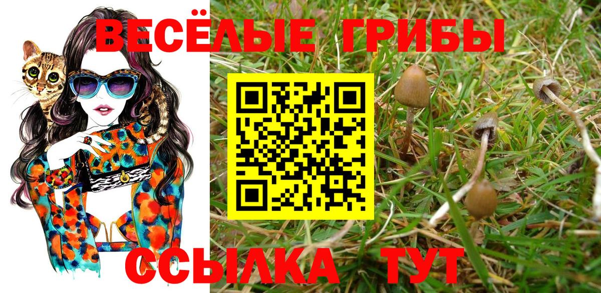 Галлюциногенные грибы Psilocybe  Галлюциногенные грибы ЛСД  Батайск  Вход с VPN 